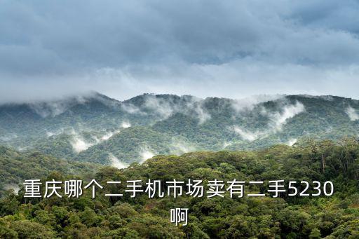 重慶哪個(gè)二手機(jī)市場(chǎng)賣(mài)有二手5230啊