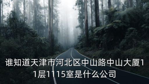 誰知道天津市河北區中山路中山大廈11層1115室是什么公司