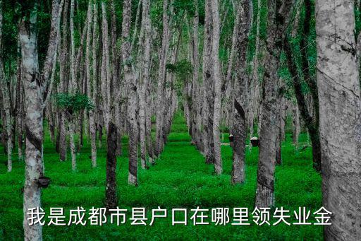 我是成都市縣戶口在哪里領失業金