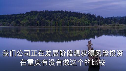 我們公司正在發展階段想獲得風險投資在重慶有沒有做這個的比較