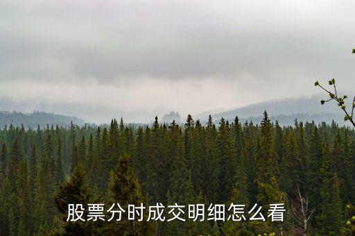 股票分時成交明細怎么看