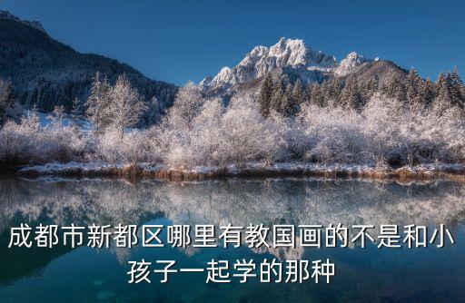 成都市新都區哪里有教國畫的不是和小孩子一起學的那種
