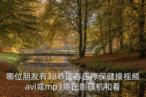 哪位朋友有38節回春醫療保健操視頻avi或mp3能在影碟機和看
