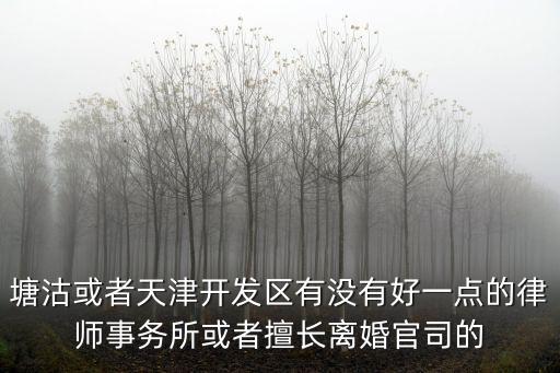 塘沽或者天津開發(fā)區(qū)有沒有好一點的律師事務所或者擅長離婚官司的