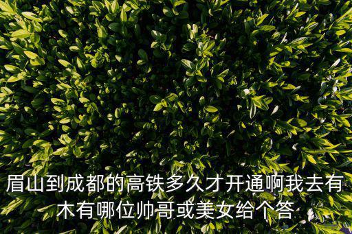 眉山到成都市域鐵路什么時候修，眉山到成都的高鐵多久才開通啊我去有木有哪位帥哥或美女給個答