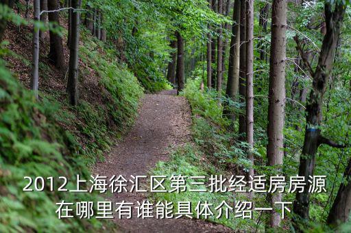 2012上海徐匯區第三批經適房房源在哪里有誰能具體介紹一下