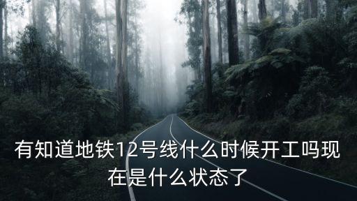 有知道地鐵12號線什么時候開工嗎現在是什么狀態了