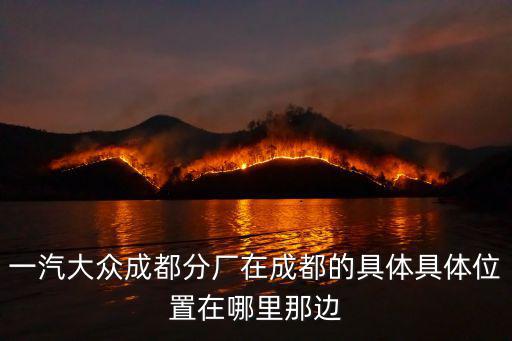 成都市成龍大道三段788號，請問四川師范大學音樂學院 專科的地址是什么在什么校區
