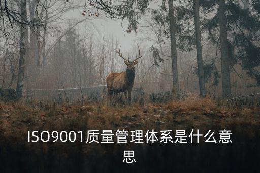 ISO9001質量管理體系是什么意思