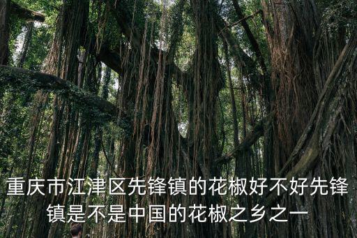 重慶市江津區先鋒鎮的花椒好不好先鋒鎮是不是中國的花椒之鄉之一