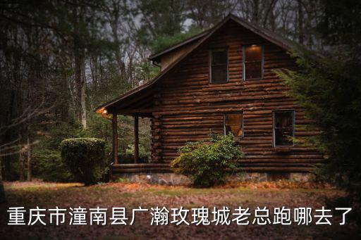 重慶市潼南縣廣瀚玫瑰城老總跑哪去了