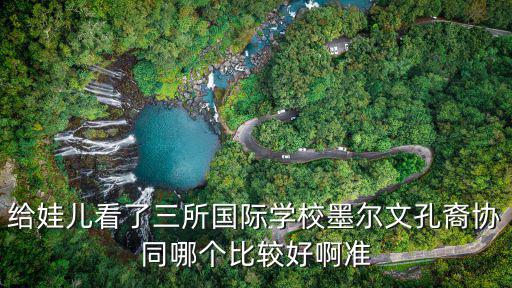 香港墨爾文國際學校，香港的american International school怎么樣