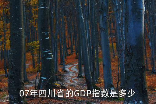 07年四川省的GDP指數(shù)是多少