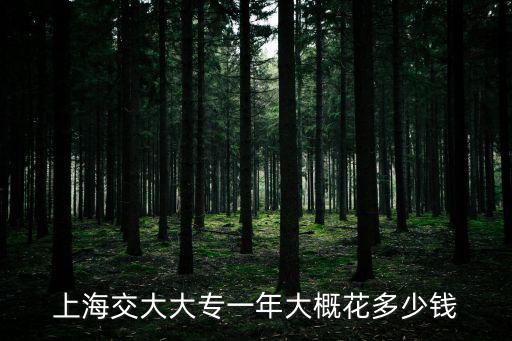 上海交大湖畔學費多少，上海交大一年學費多少包括吃住