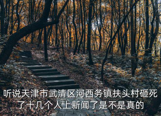 聽說天津市武清區(qū)河西務(wù)鎮(zhèn)扶頭村砸死了十幾個(gè)人上新聞了是不是真的