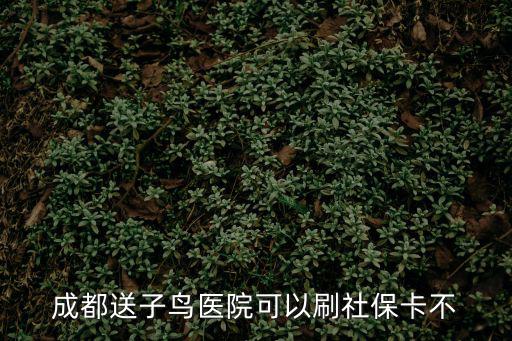 成都市孕檢報告，成都送子鳥醫院可以刷社保卡不
