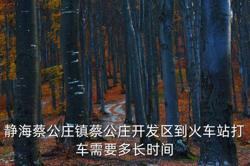 天津市靜海區蔡公莊工業園區，靜海蔡公莊鎮蔡公莊開發區到火車站打車需要多長時間
