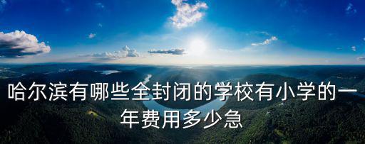 哈爾濱有哪些全封閉的學校有小學的一年費用多少急