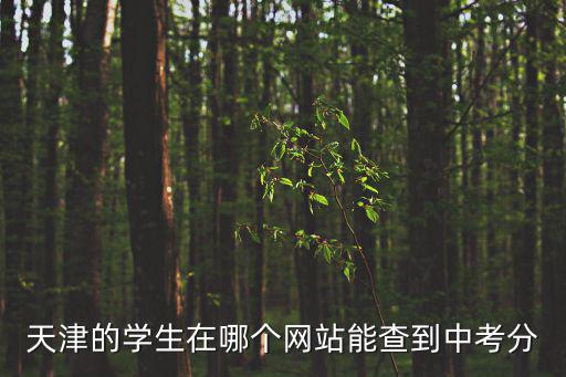 天津市高中學分查詢，怎樣查看自己的學分
