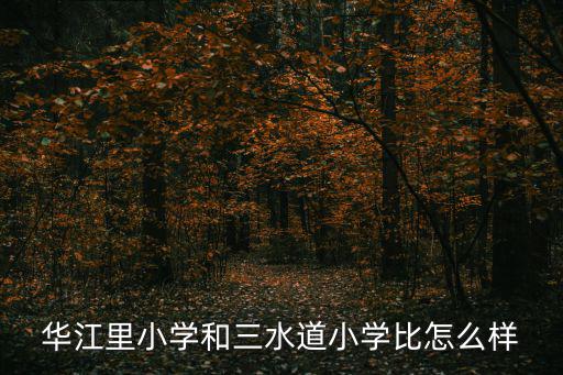華江里小學和三水道小學比怎么樣