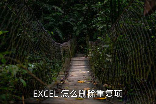 EXCEL 怎么刪除重復(fù)項