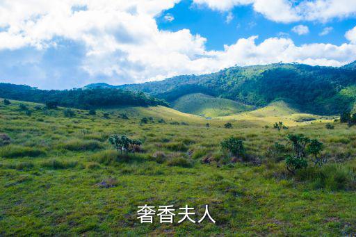 奢香夫人