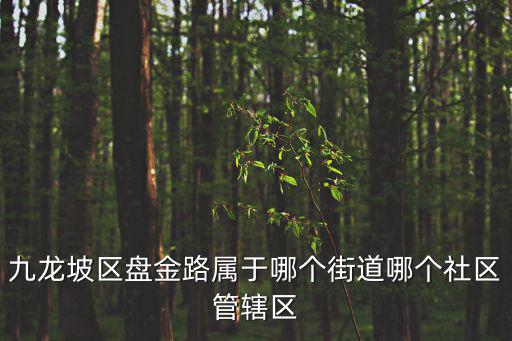 重慶市九龍坡江山御景，九龍坡區盤金路屬于哪個街道哪個社區管轄區