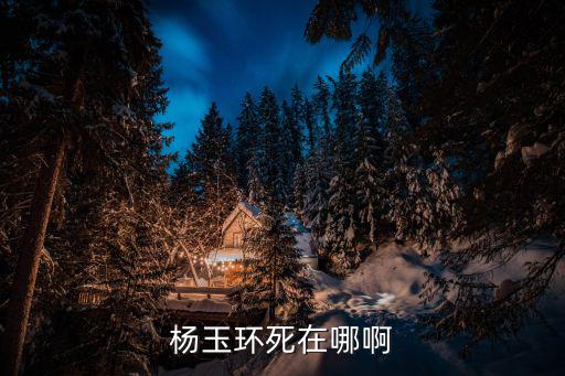 馬嵬驛兵變，楊玉環(huán)死在哪啊