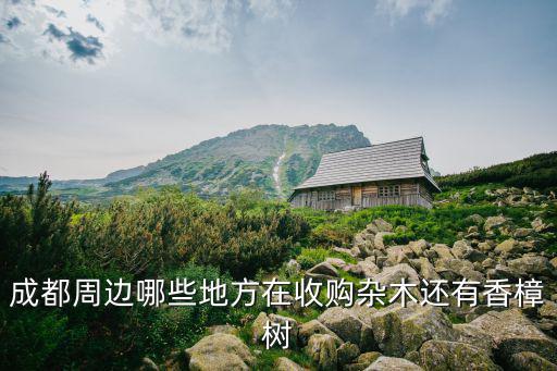 成都周邊哪些地方在收購(gòu)雜木還有香樟樹(shù)