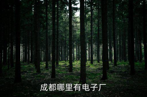 成都哪里有電子廠