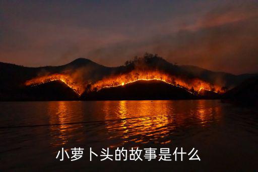 小蘿卜頭的故事是什么