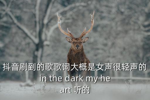 抖音刷到的歌歌詞大概是女聲很輕聲的in the dark my heart 聽的