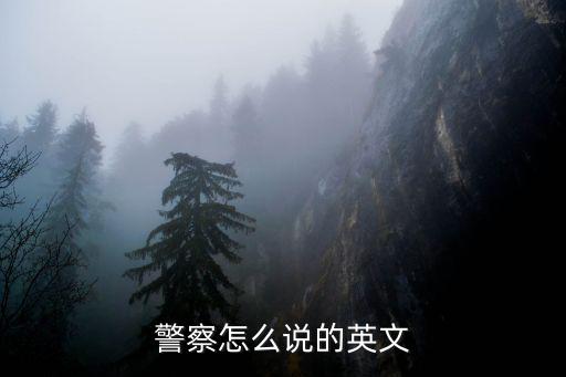 警察怎么說的英文