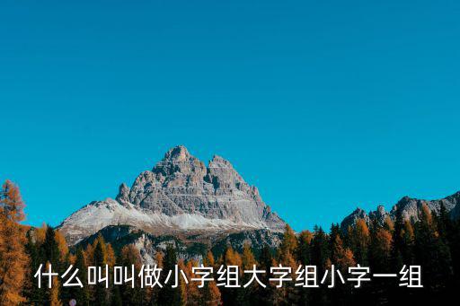 什么叫叫做小字組大字組小字一組