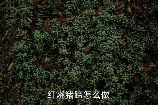 紅燒豬蹄怎么做
