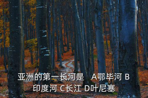 亞洲的第一長河是   A鄂畢河 B印度河 C長江 D葉尼塞