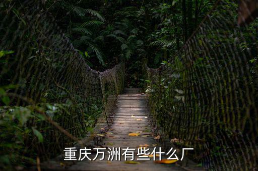 重慶萬洲有些什么廠