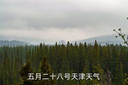 五月二十八號(hào)天津天氣