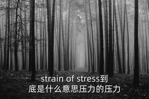 strain of stress到底是什么意思壓力的壓力