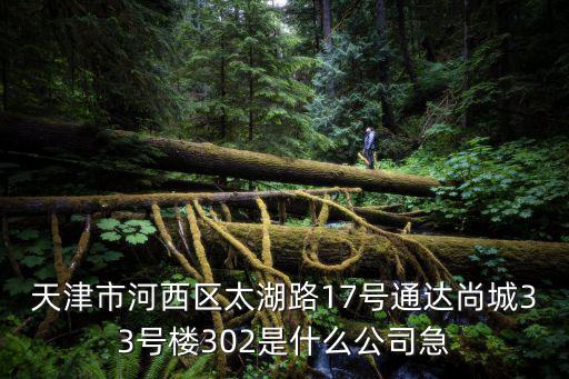 天津市河西區(qū)太湖路17號(hào)通達(dá)尚城33號(hào)樓302是什么公司急