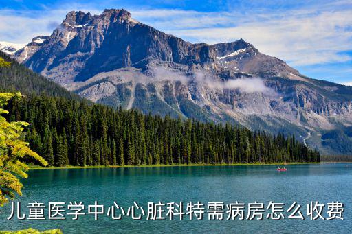 天津市兒童醫(yī)院病房價格，三甲醫(yī)院特需病房價格怎么算