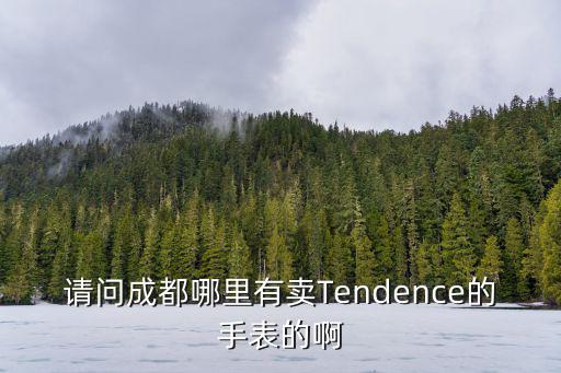 請(qǐng)問(wèn)成都哪里有賣(mài)Tendence的手表的啊