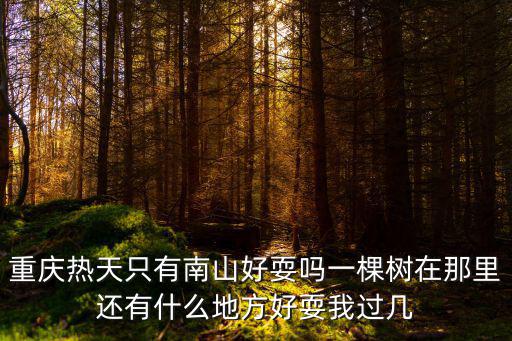 重慶市內一棵樹一日游，重慶南山一棵樹觀景園哪些地方最好玩