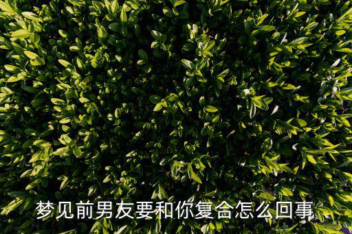 夢到和前男友復合，夢見前男友要和你復合怎么回事