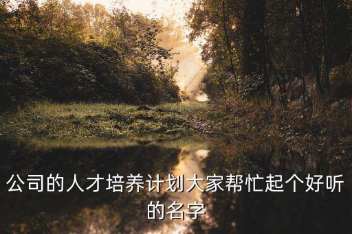 公司的人才培養(yǎng)計劃大家?guī)兔ζ饌€好聽的名字