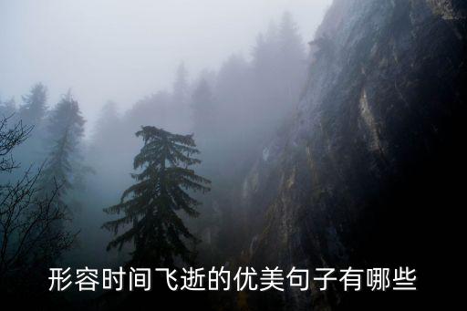 時光飛逝的句子，關于時間流逝的優美句段