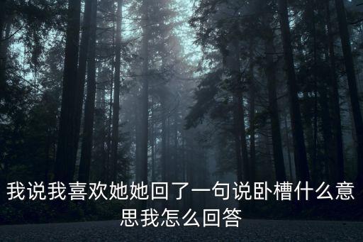 我說我喜歡她她回了一句說臥槽什么意思我怎么回答