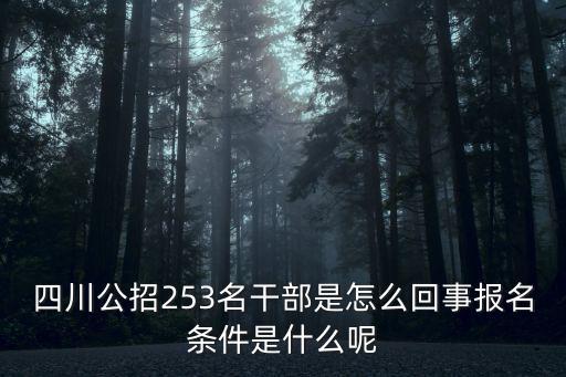 四川公招253名干部是怎么回事報(bào)名條件是什么呢