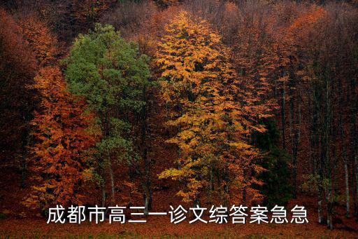 成都市高三一診文綜答案急急