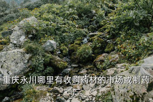 重慶市開縣藥廠，盤龍云海排毒養顏膠囊重慶那個藥店有買的